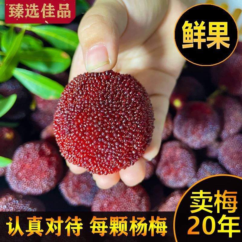 9A仙居东魁杨梅鲜果当季新鲜水果现摘50颗大果整箱包邮