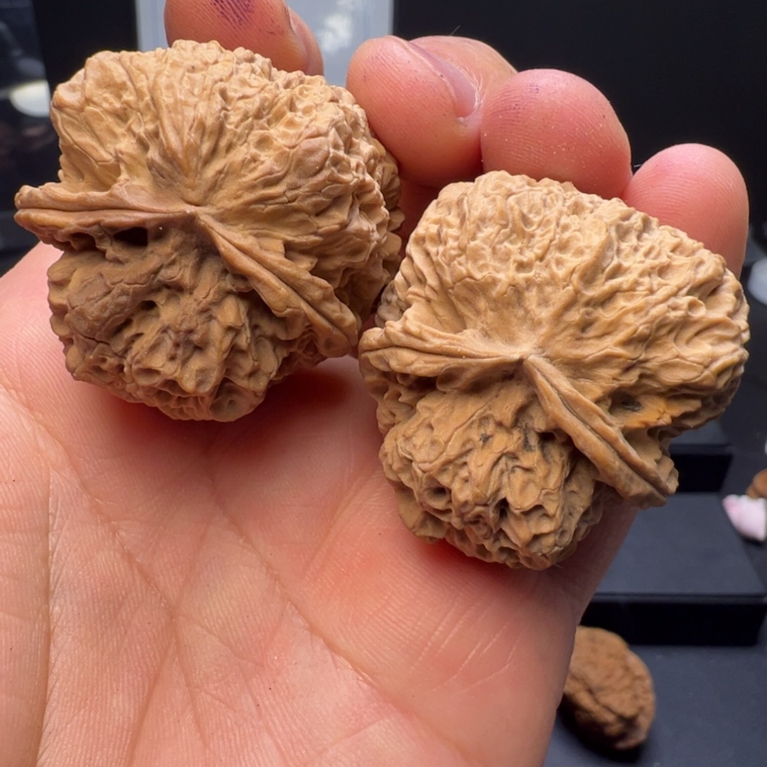 文玩核桃吊坠蛮荒古蟾39mm