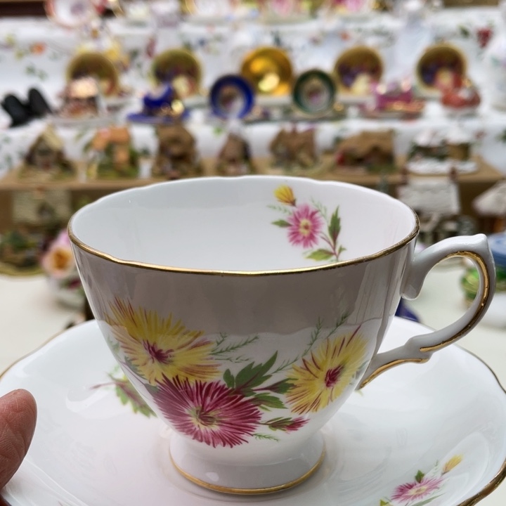 碟维多利亚欧洲中古