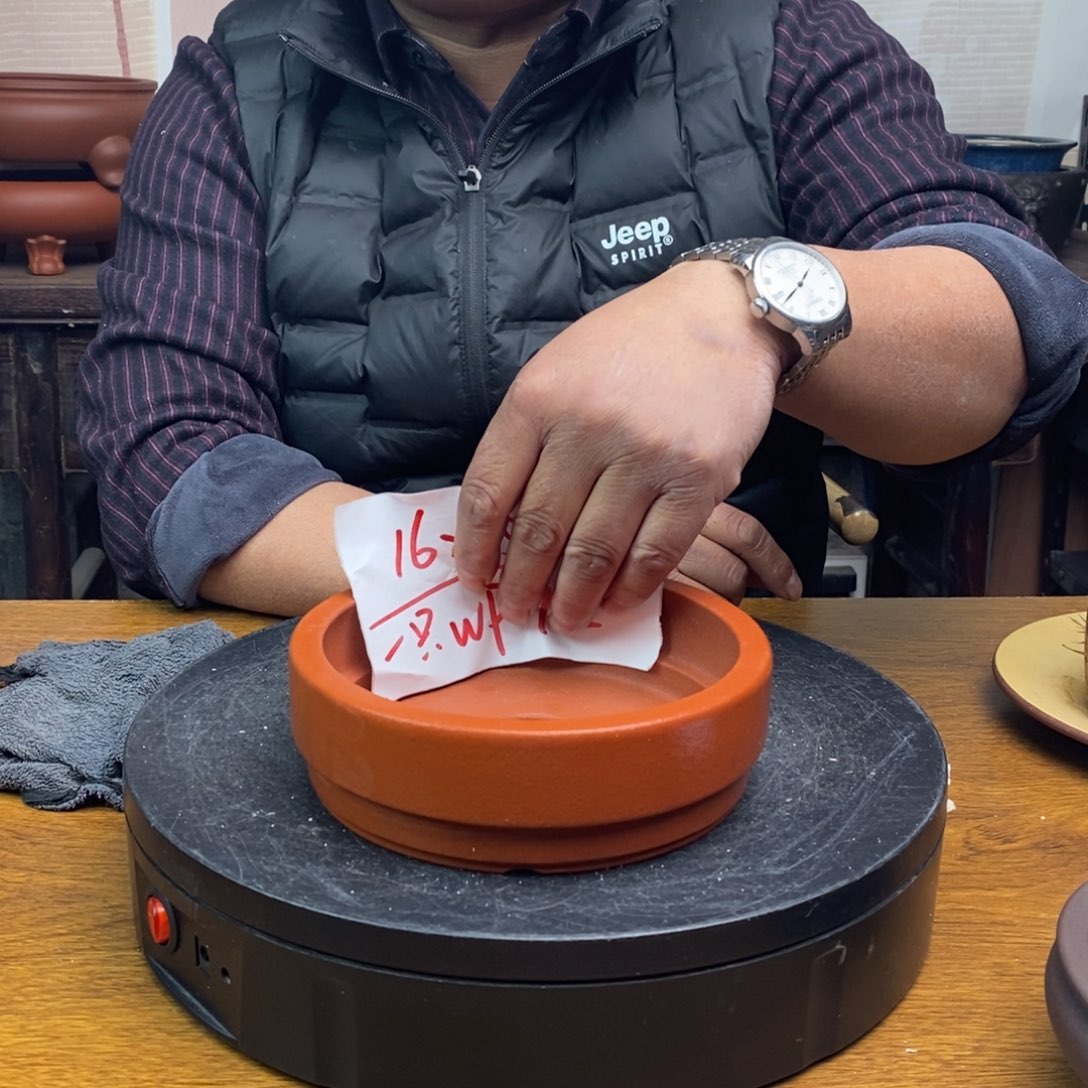 紫砂货号一只WP92