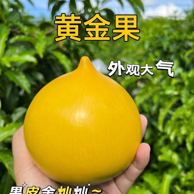 黄金果两盒750克