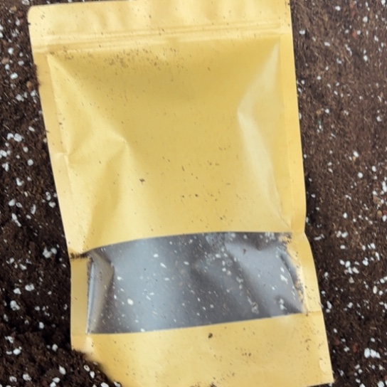 泥碳土牛皮制袋1小袋没有多少体验装约1