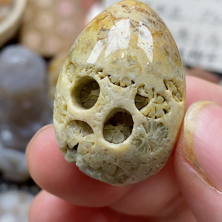 颈饰未镶嵌硅化珊瑚（珊瑚玉）有瑕