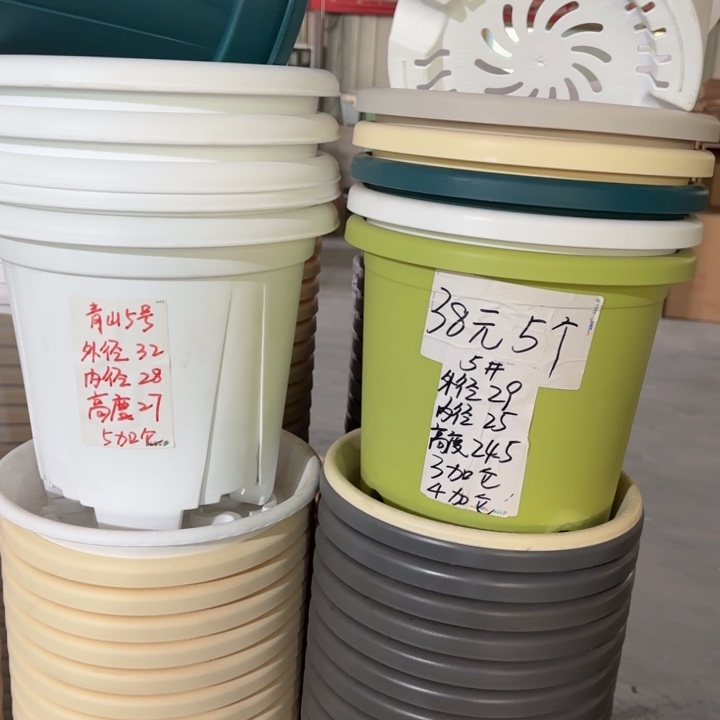 微瑕5#口径29无托果绿5个