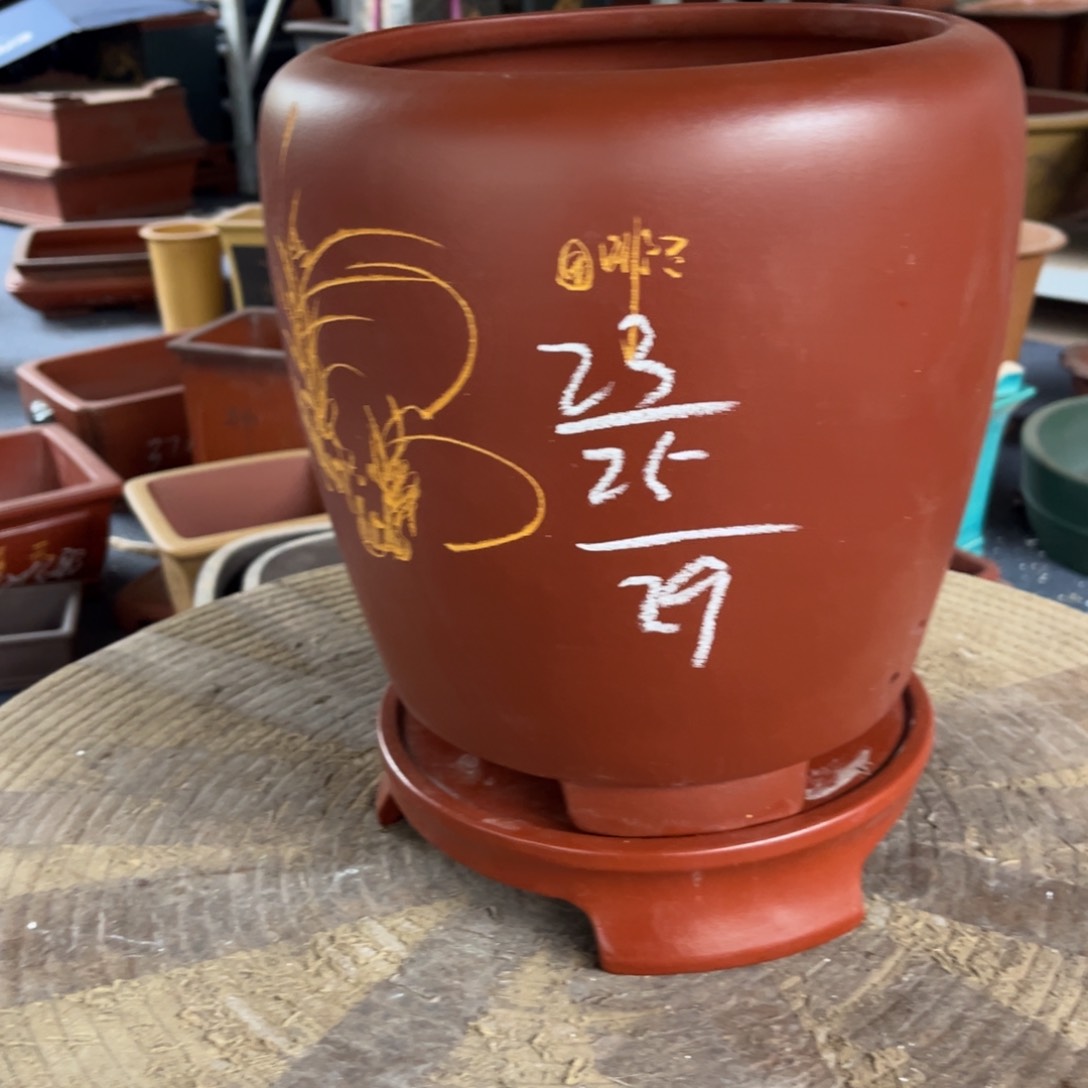 紫砂花盆盆景艺术