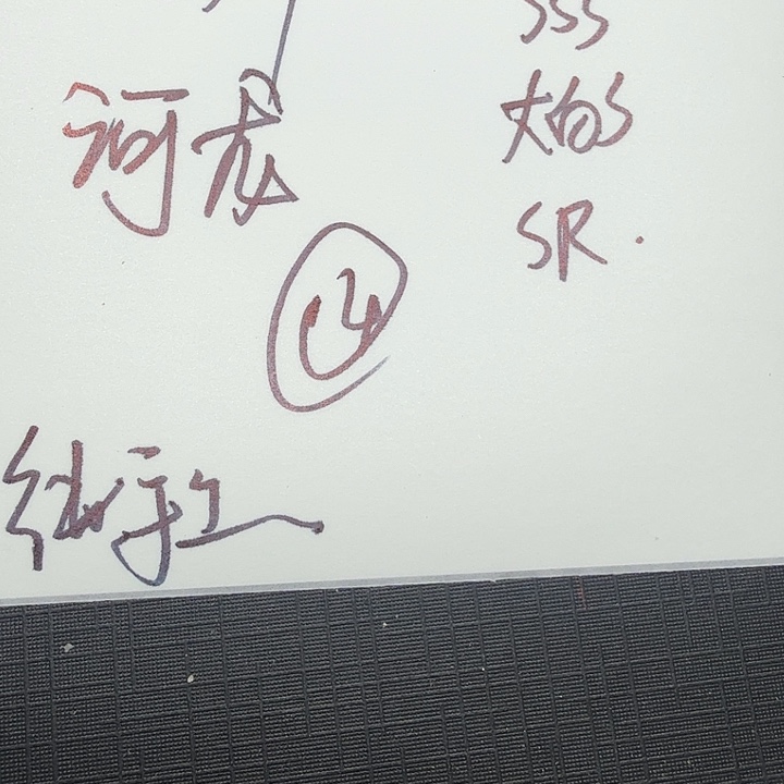 星月菩提吊坠河龙14