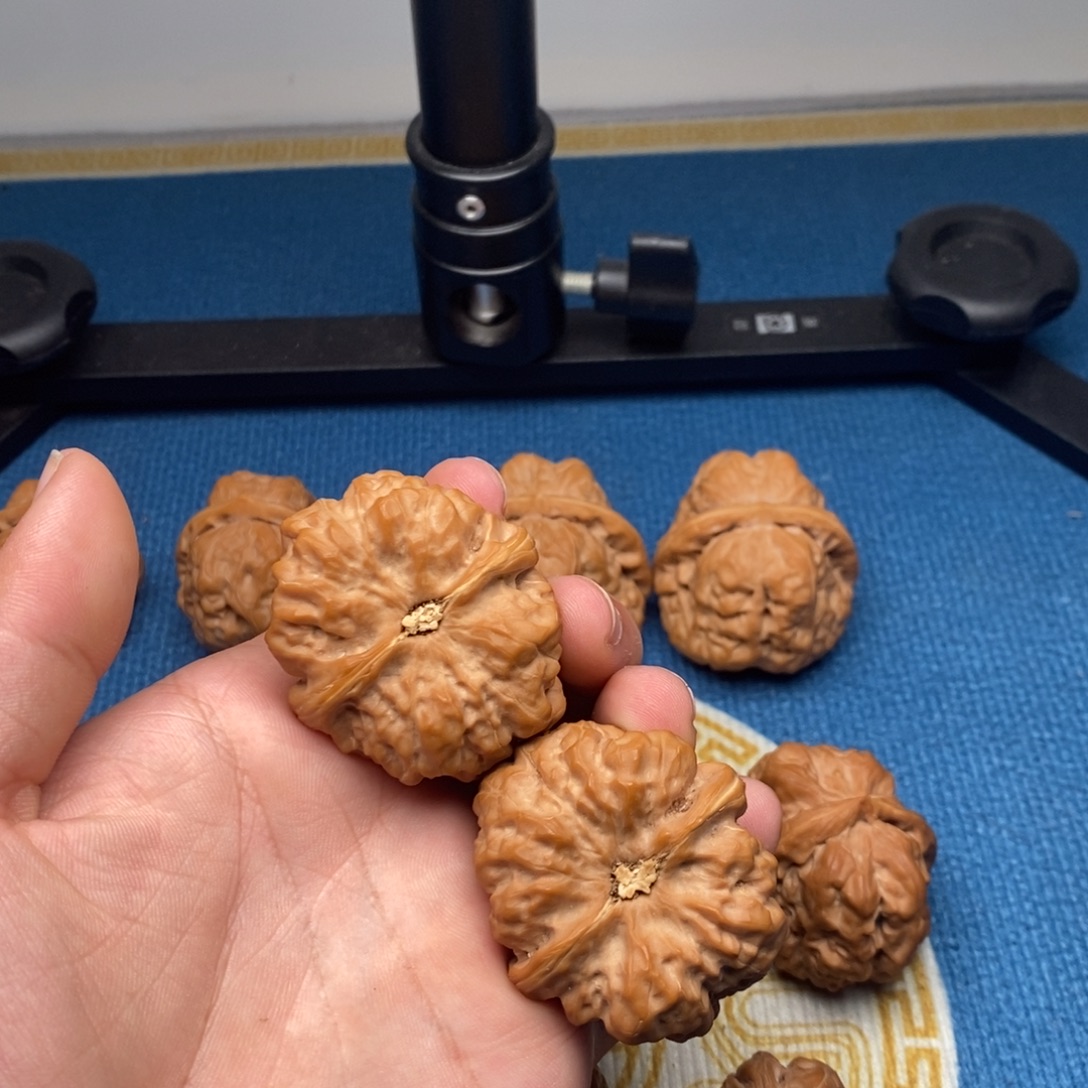 T***1核桃40极品毕业三角蛙