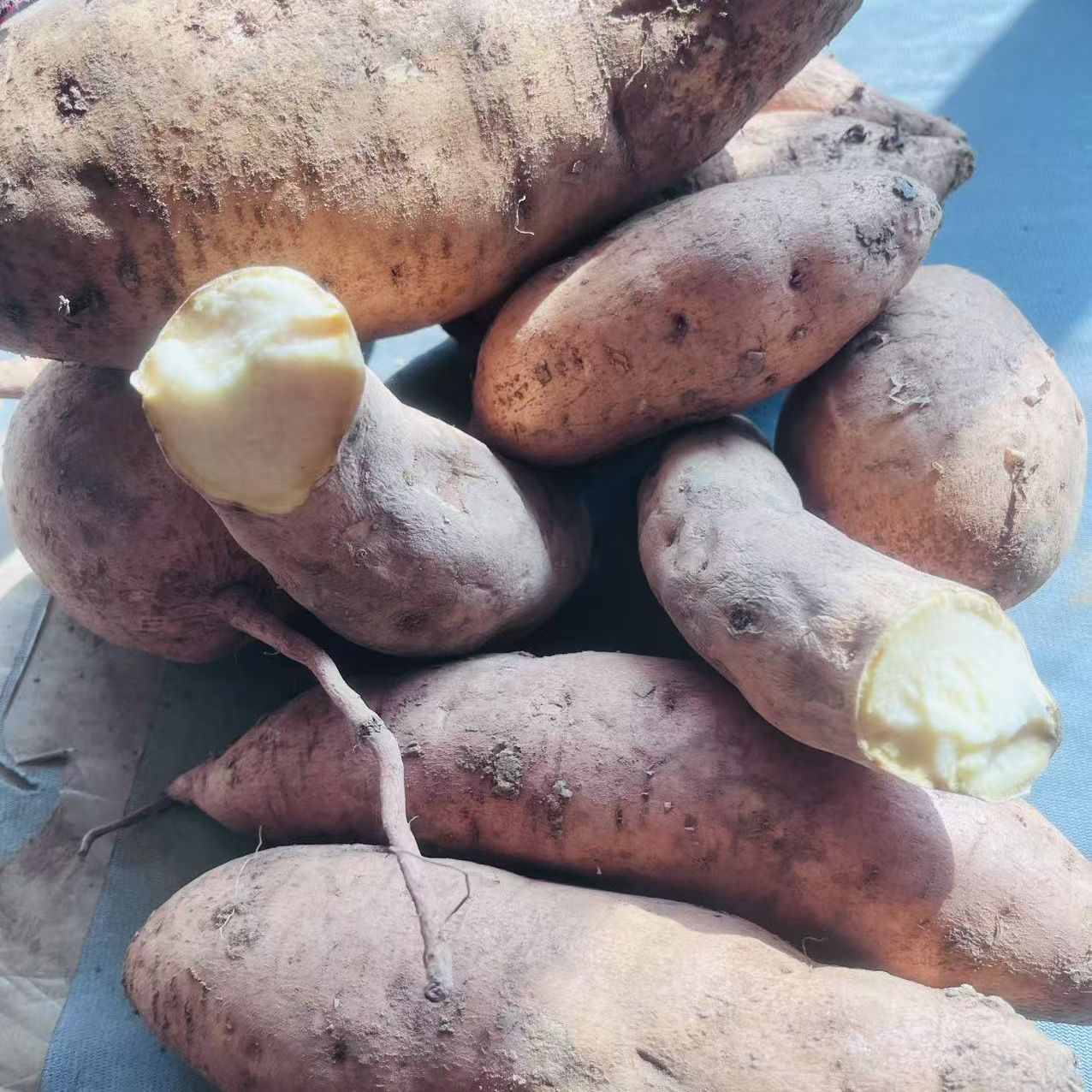 边境现、收-冰，淇，淋、蜜，薯