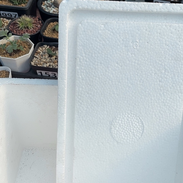 0度以下植物保温箱必拍