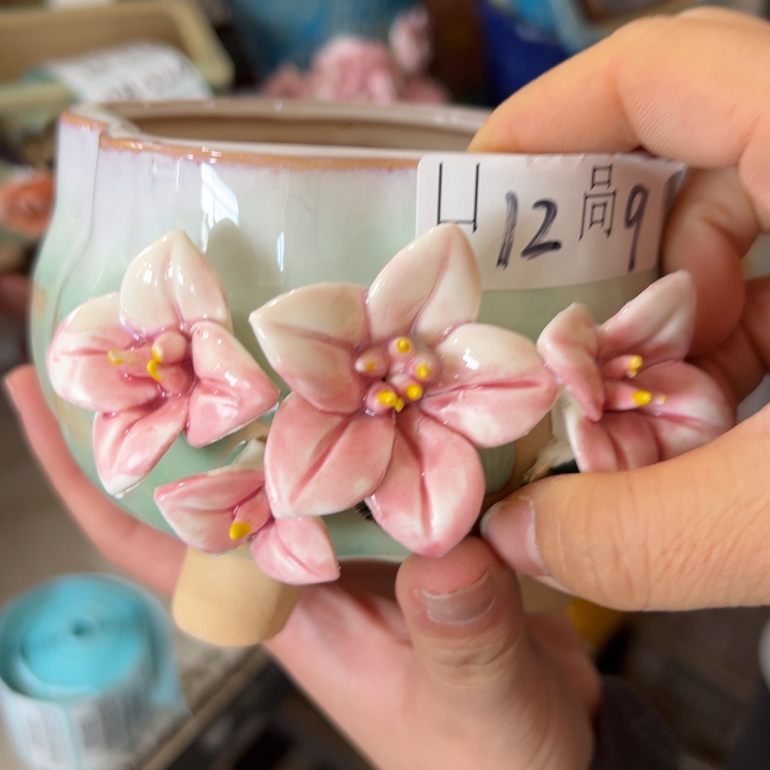 多肉花盆，满20发货，爱退款拉黑