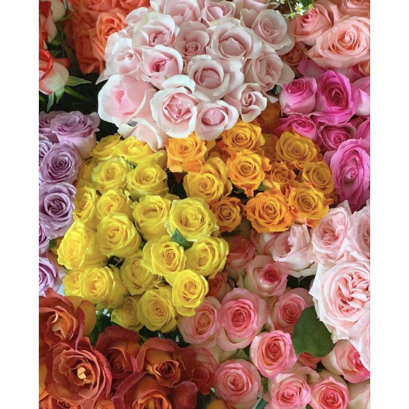 任意色玫瑰10支+多头玫瑰5支+紫罗兰5支+小雏菊1束+洋甘菊1束