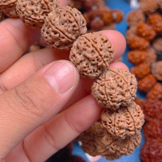 金刚菩提手串Y052/22/6
