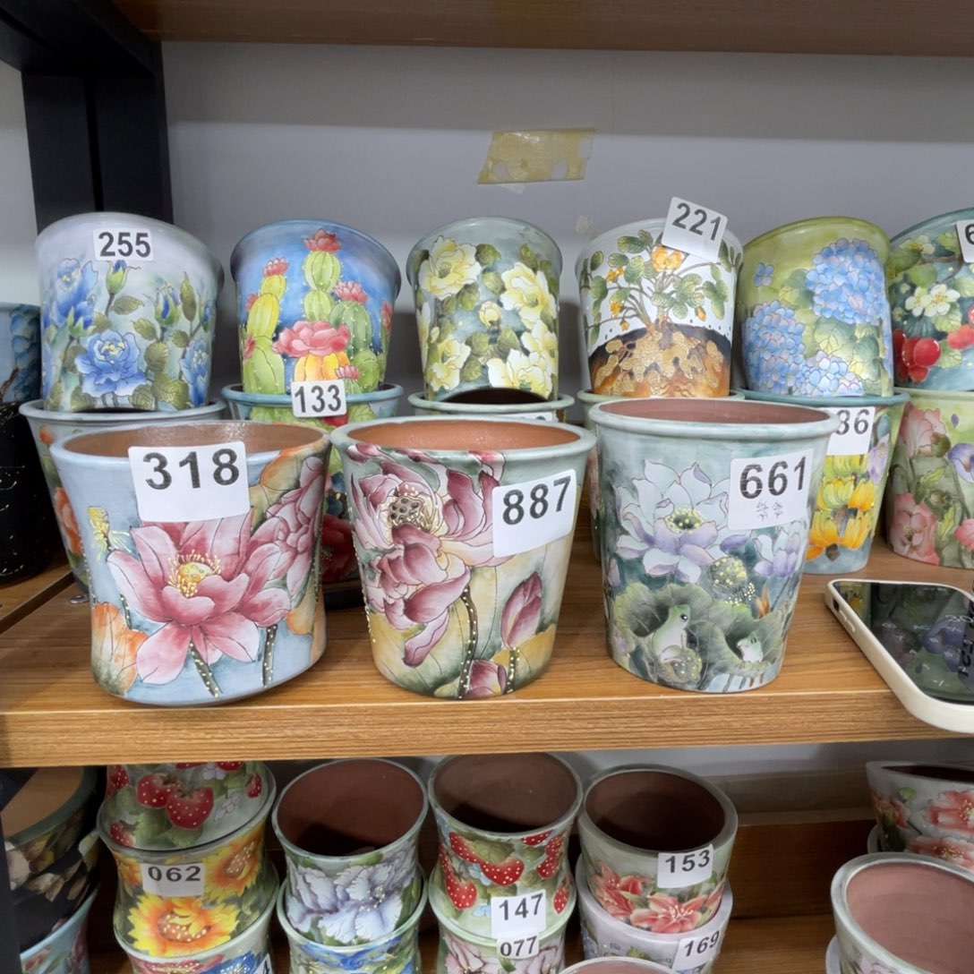 笨***83个补差价花盆666