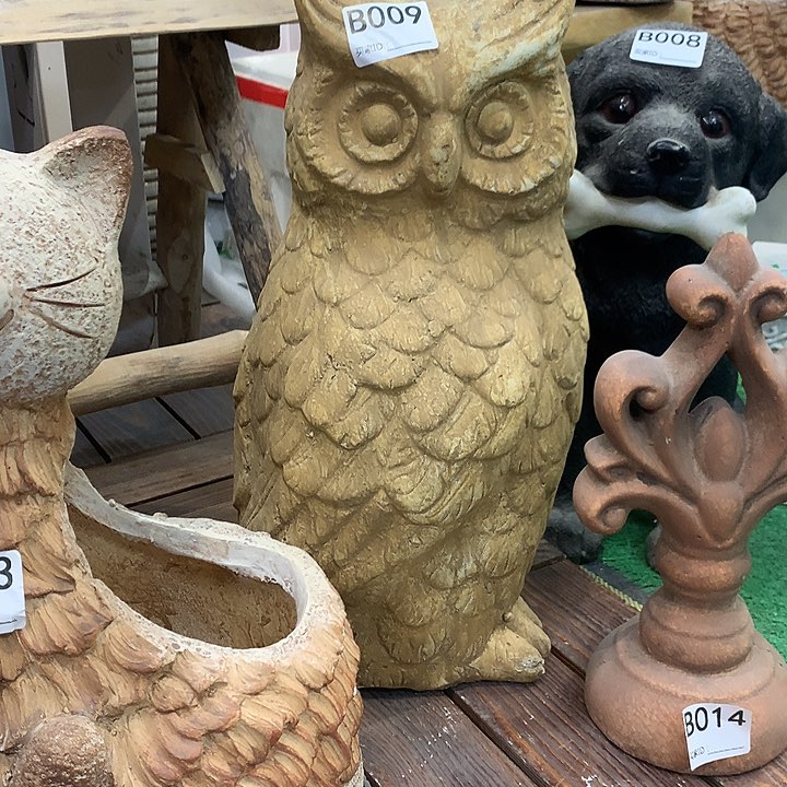 红陶高41宽18，123