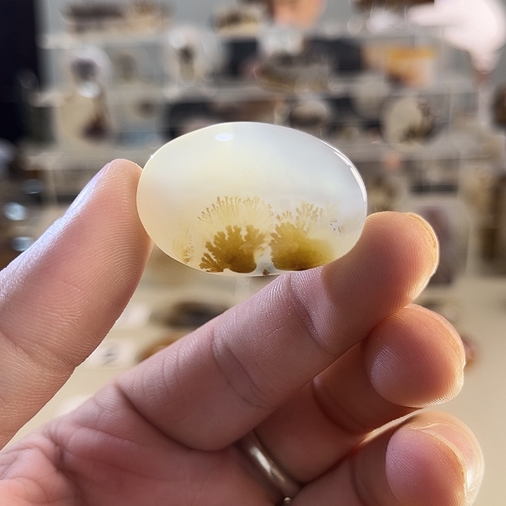 玛瑙/玉髓吊坠(不含链)未镶嵌