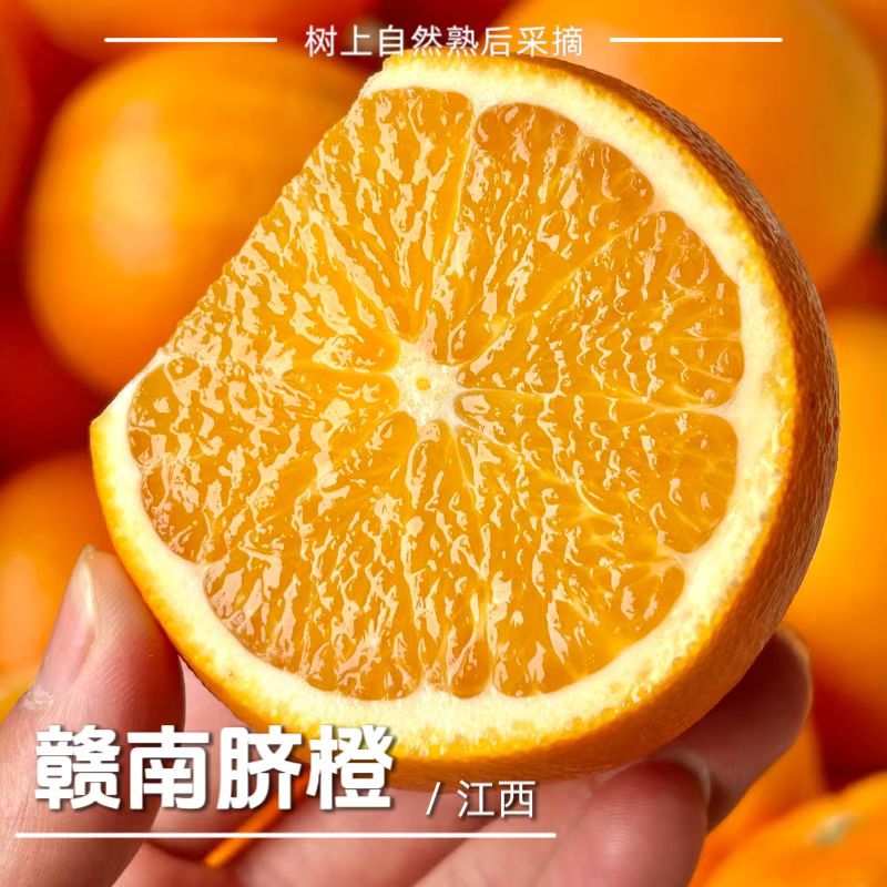 【产地直发】京东包邮赣南脐橙香甜可口果香浓郁手剥甜橙子新鲜水果