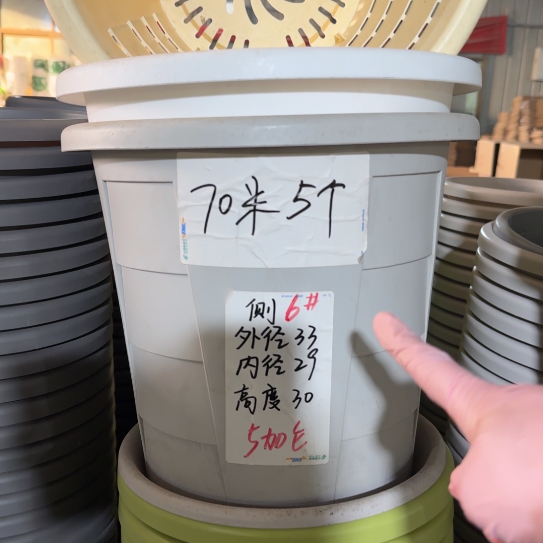 测6#口径33无拖灰白6个