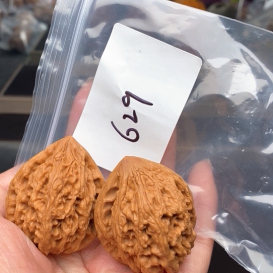 桃核吊坠629大沽石狮子