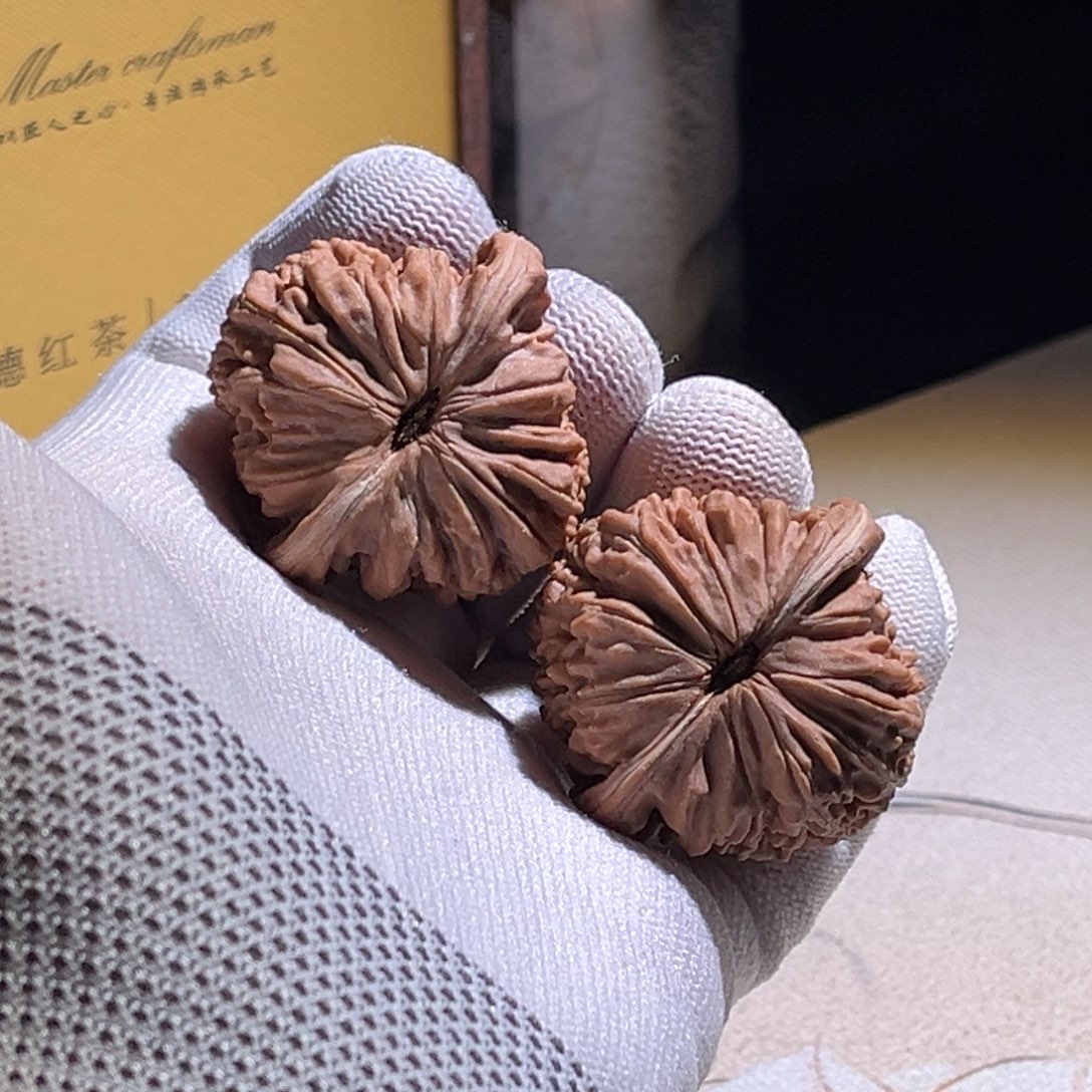 7***丶楼子楼子楼子楼子