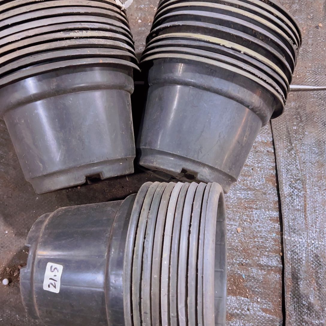 塑料黑圆盆21口径 14高 10个