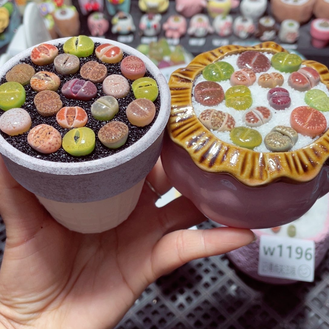 w1197 带盆土发货-零下地区拍保温箱