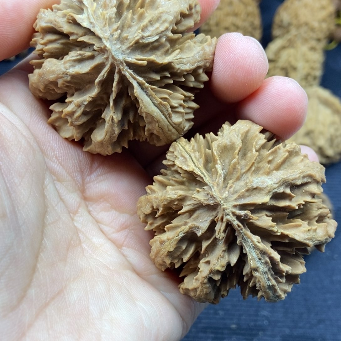 恩**粑秦岭核桃霸王花6号链接66666