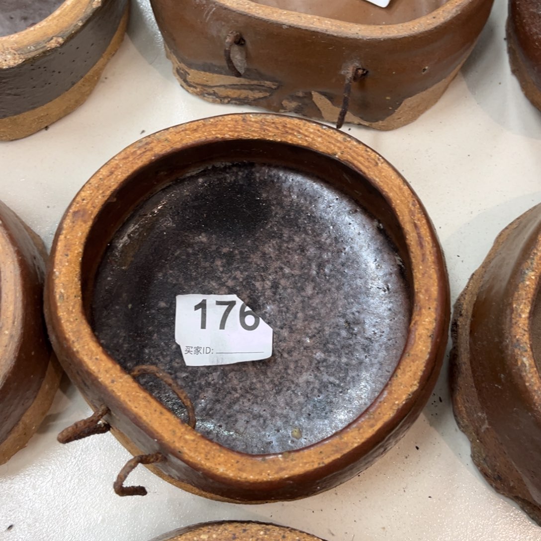 灿***1开播福利小钵176号