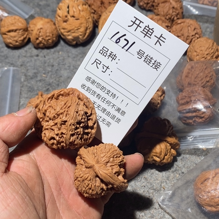 文玩核桃把件1671号路我哦哦哦哦