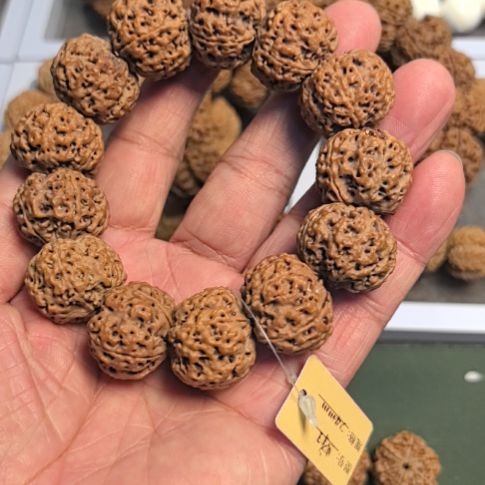 用***8手串金刚菩提五星蜂王大金刚手串，24左右尺寸，原皮原色的