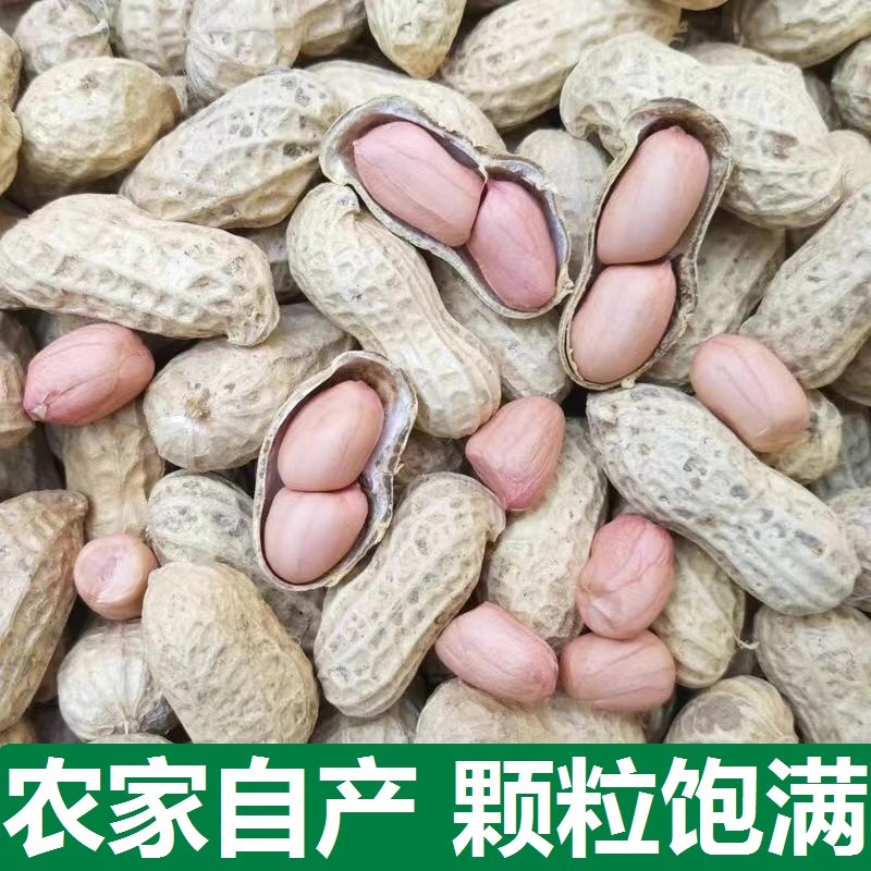 【田小宝】农家当季新鲜干生花生
