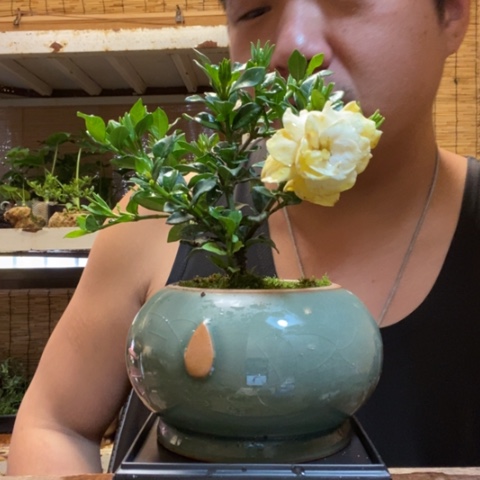 红陶z**y一物一拍所见即所得59