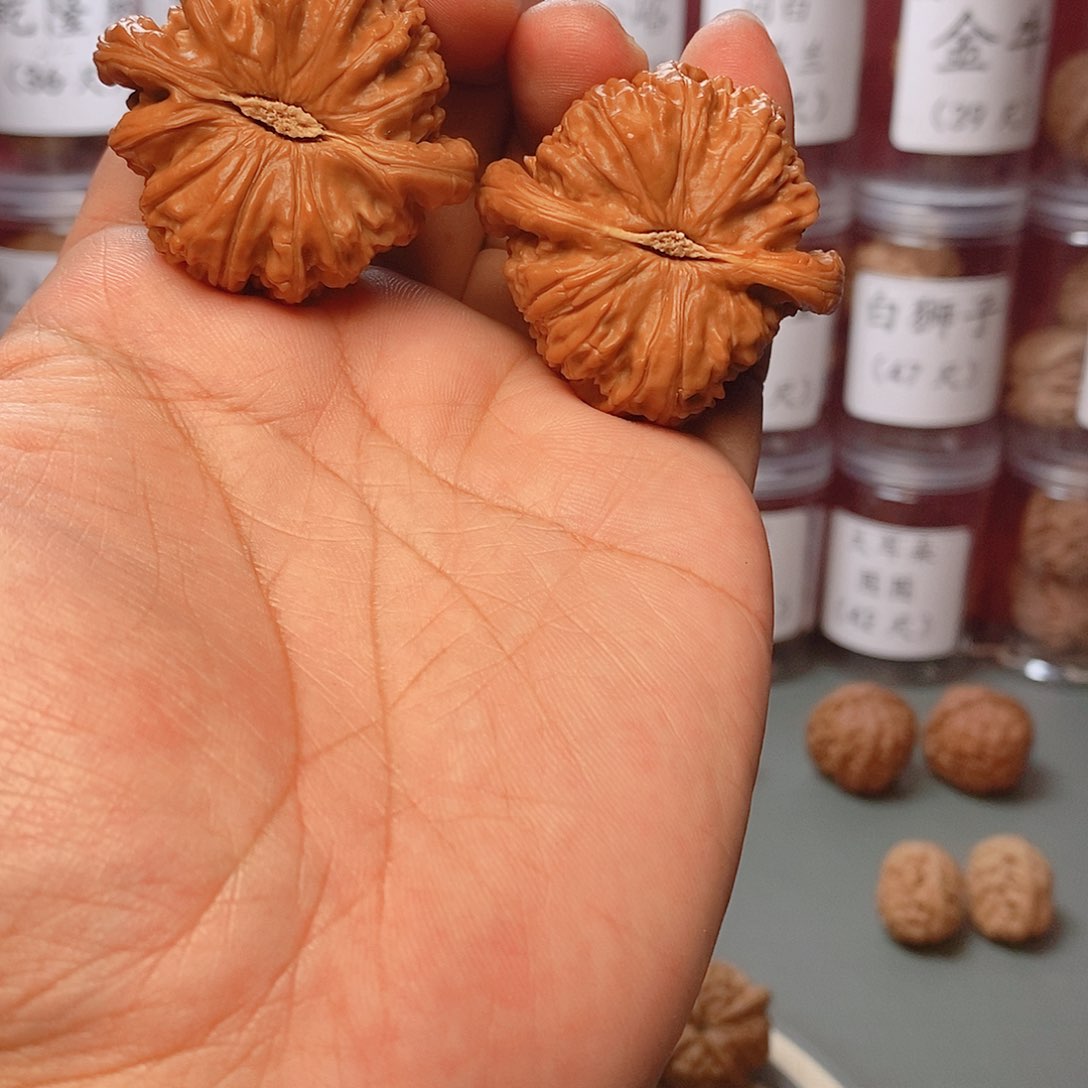 核桃把件栗***、44尺寸白狮子核桃