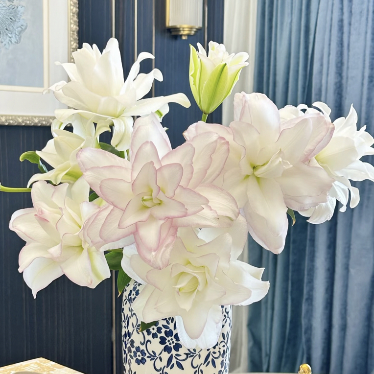 【冰美人重瓣香水百合】任意两单顺丰冷链包邮，0度以下必拍保温棉！