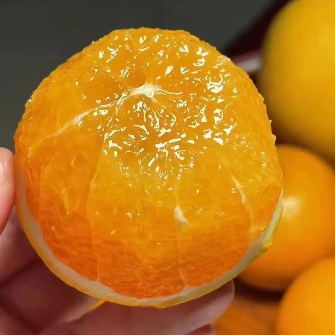 四川爱媛38号果冻橙新鲜现摘应季水果爆甜多汁无籽无渣