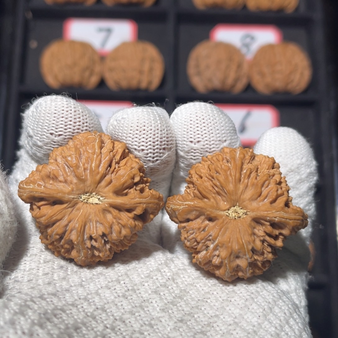 心***%文玩核桃吊坠07秦皇岛山地果全品