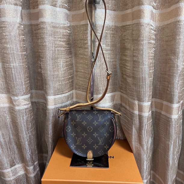 95新 LouisVuitton/路易威登 老花小猪包斜挎包 鱼鱼