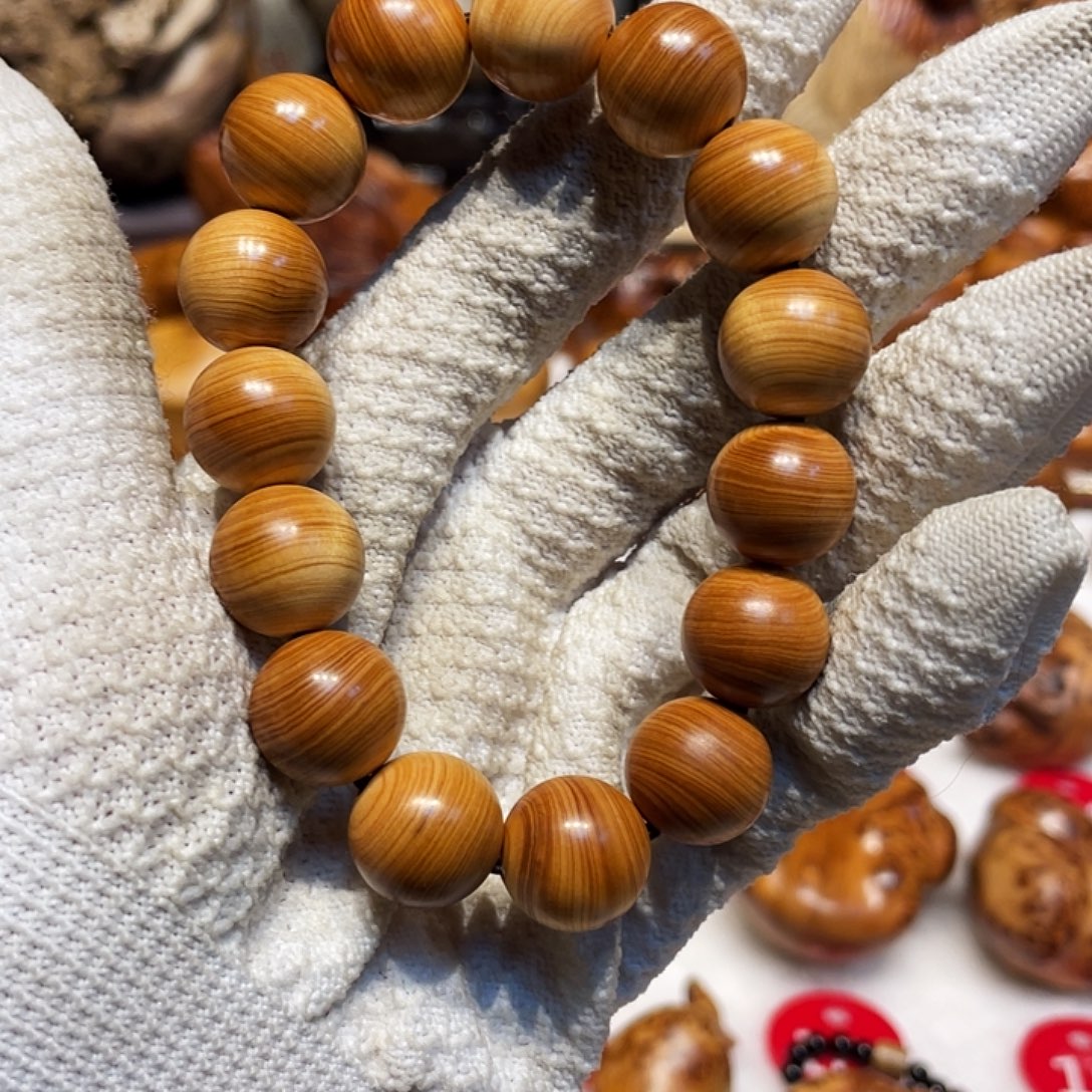 柏木（崖柏）太行崖柏