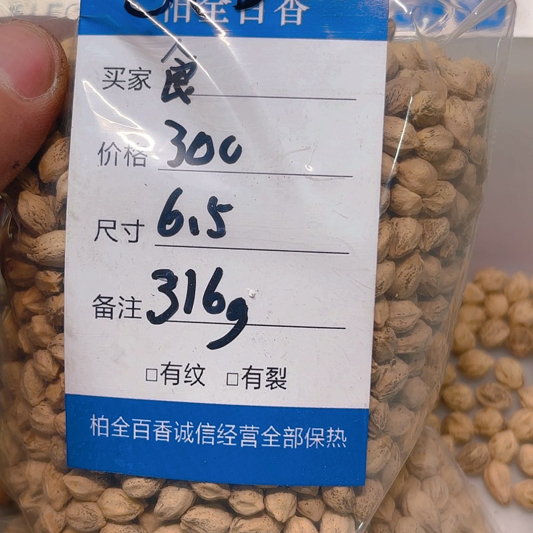 食*柏香籽散子 316 克散子