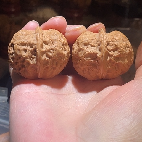 把件文玩核桃元宝狮子带彩41