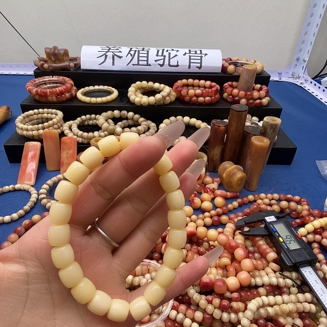 驼骨手串/手链驼骨