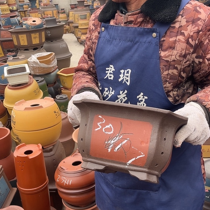 紫砂紫砂花盆和小盆栽