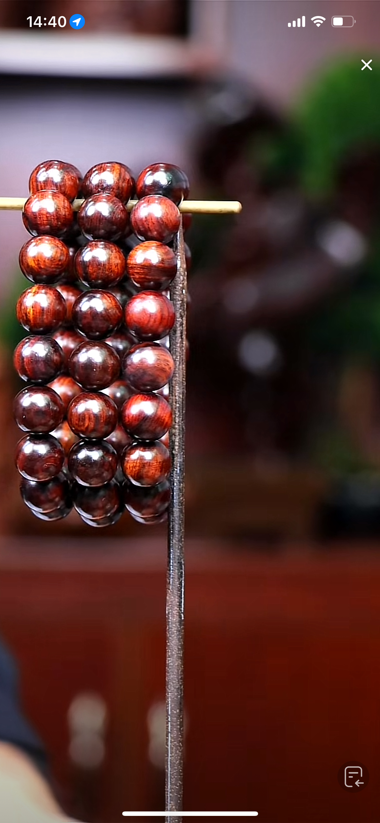 海南黄花梨1.2（多样性发一