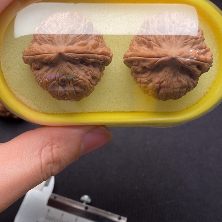 J*Y36全品货头平底锅狮子头