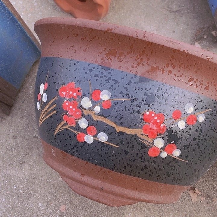 紫砂t004中哈哈哈哈哈哈