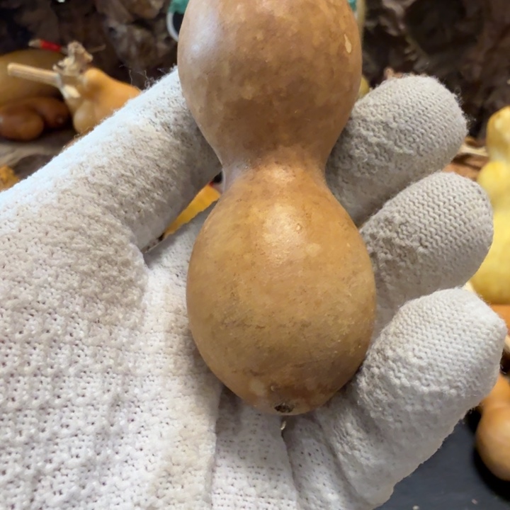 尚***猫6666666677777777767