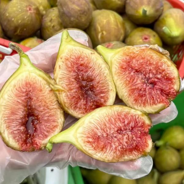 【顺丰包邮】云南树熟芭劳奈无花果 一箱净重2.1斤左右 （仅发南京）