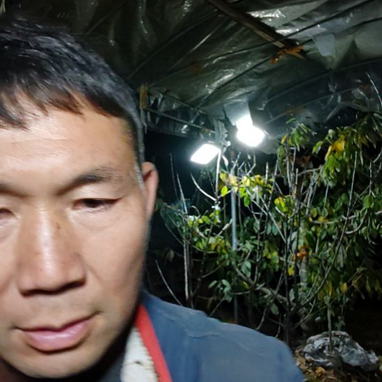 完全开放一物一拍