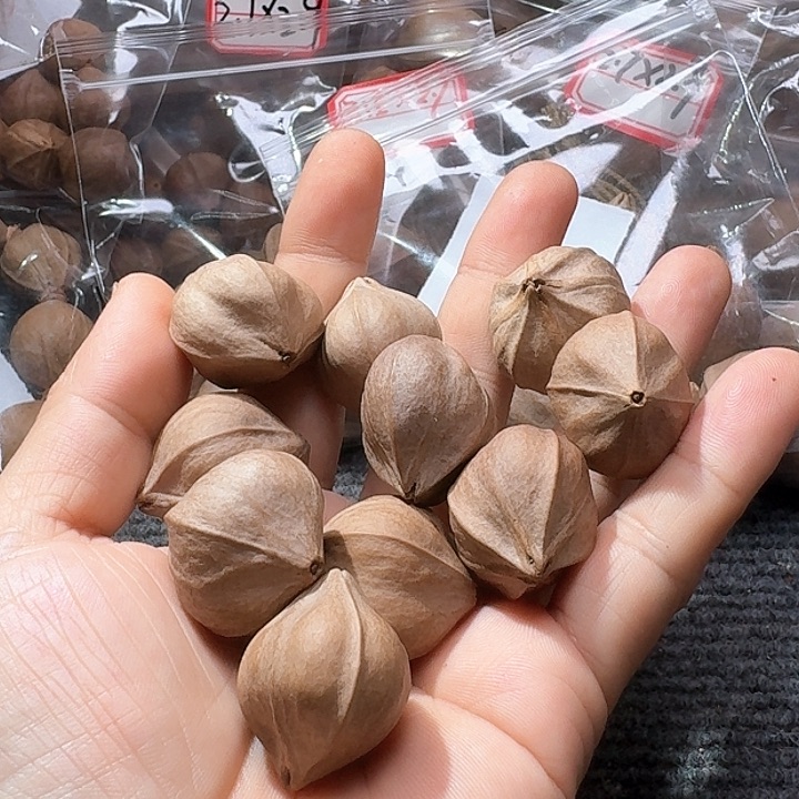 吊坠橄榄核零**汤2.8❌3.0