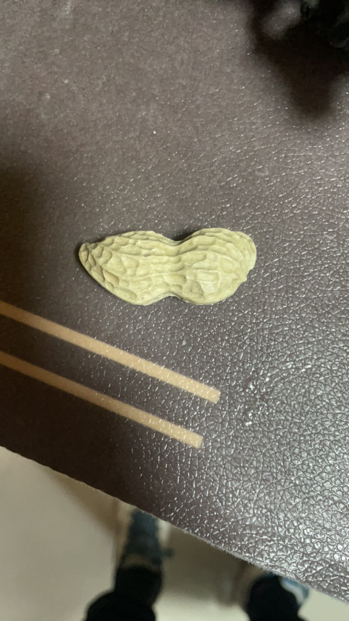 寿山石文玩摆件茶宠物