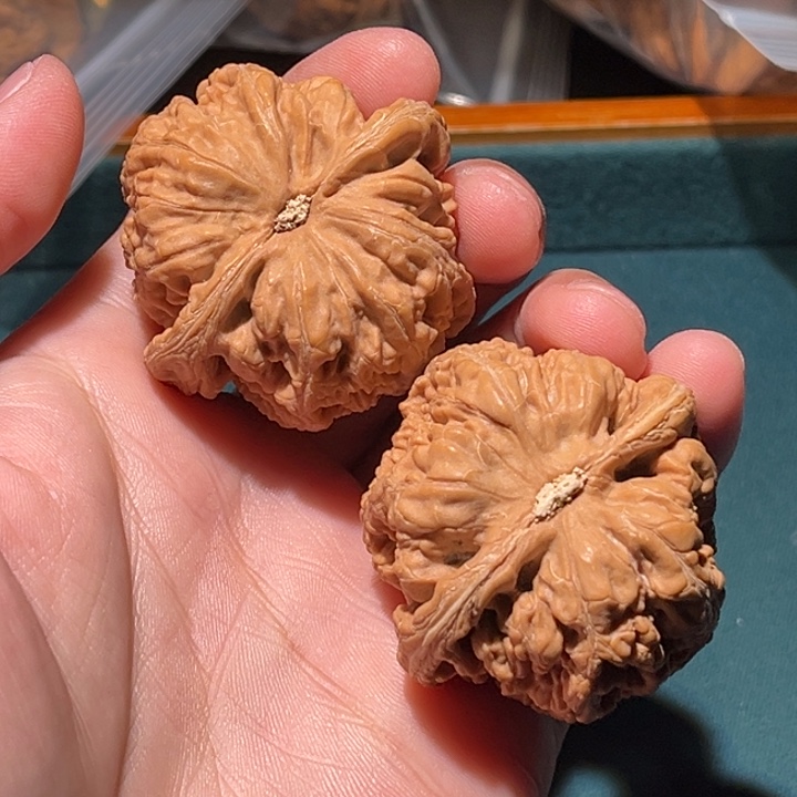 河***温文玩核桃把件42粗筋